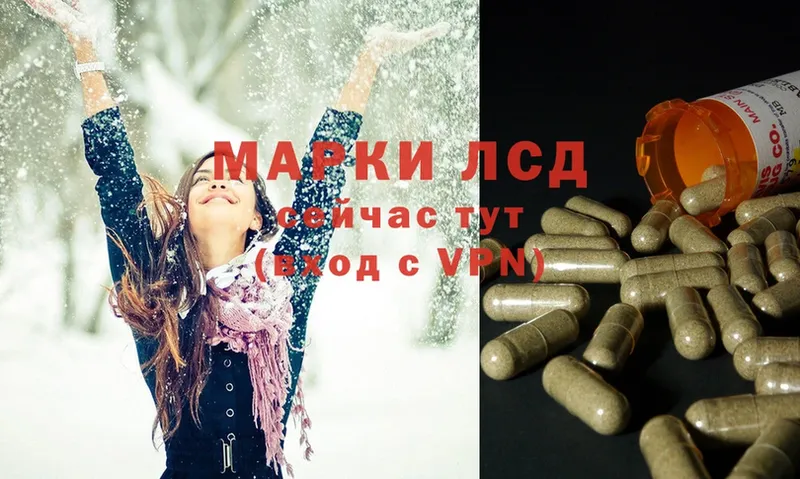 ЛСД экстази ecstasy  Каргополь 